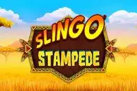 Slingo Stampede by Gaming Realms