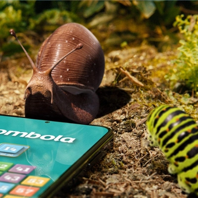 Bingo &amp;amp;amp; Jungle Buzz: Tombola Sponsors I’m A Celebrity’s Big Return